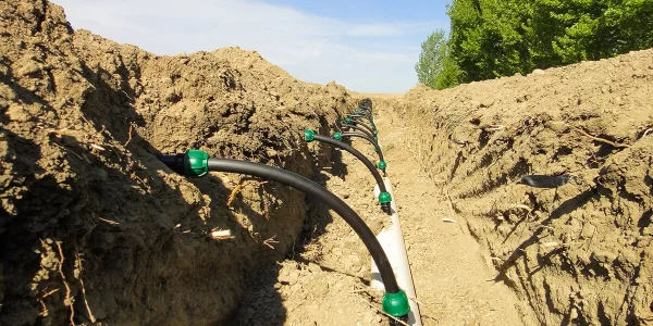 (Heartnut Grove WWT)-(Subsurface drip irrigation)-(To show how it works underground)