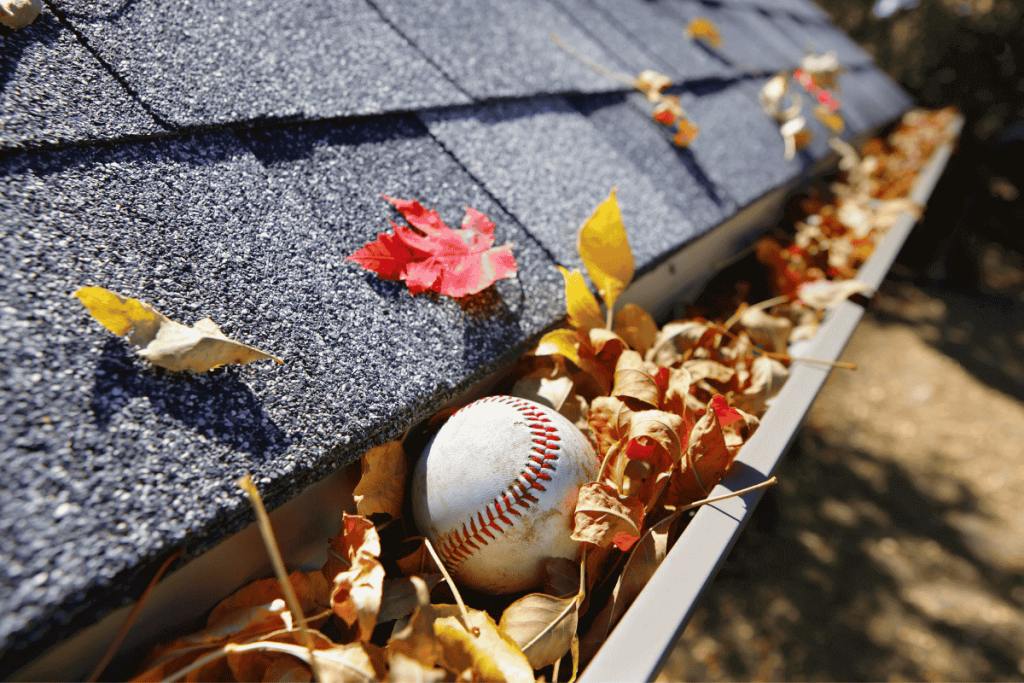 canada small business dirty gutters damage prevention